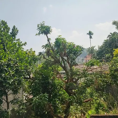 Kandy Horizon Homestay Exterior photo